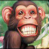 Grinning Monkey