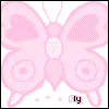 Pink Butterfly