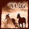 Wild Horses