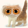 Cat Avatar