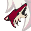 Nhl Coyotes