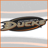 Nhl Ducks
