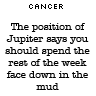 Cancer