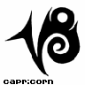 Capricorn
