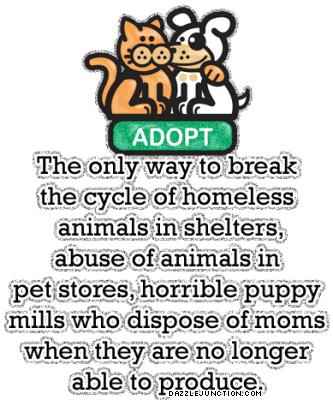 Adopt A Pet