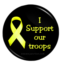 I Support Our Troops