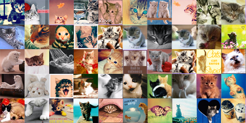 Kittens Collage Background