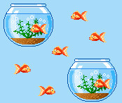 Fish Tank Background