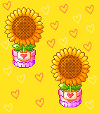 Sun Flowers Background