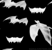 Bats Background