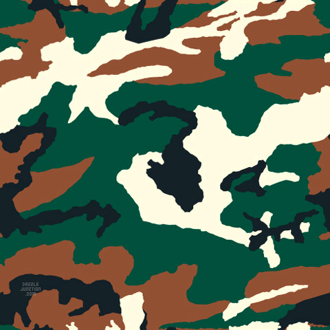 Camoflauge Picture