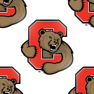 Cornell Big Red Background
