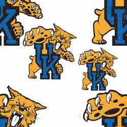 Kentucky Wildcats Background