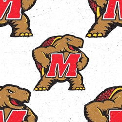 Maryland Terrapins Background