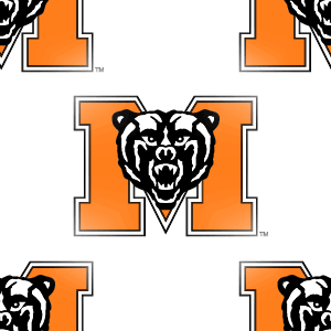 Mercer Bears Background