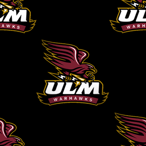 Ulm Warhawks Background