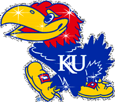 Kansas U Jayhawk
