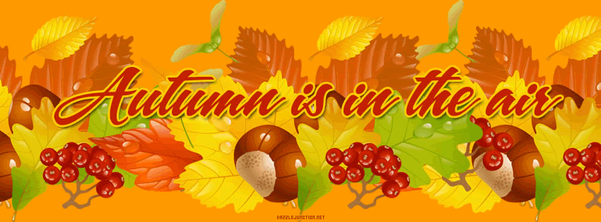 Seasons Facebook Cover