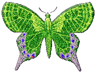 Green Glitter Butterfly