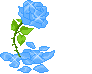 Blue Flower