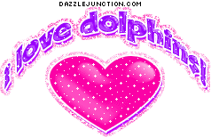 I Love Dolphins Animal Lovers image