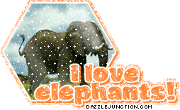I Love Elephants