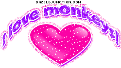 I Love Monkeys