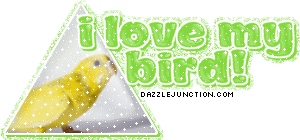 I Love My Bird