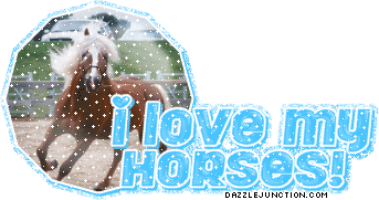 I Love My Horses Animal Lovers image