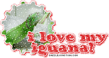 I Love My Iguana
