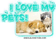I Love My Pets