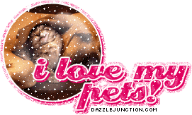 I Love My Pets Animal Lovers image