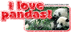 I Love Pandas