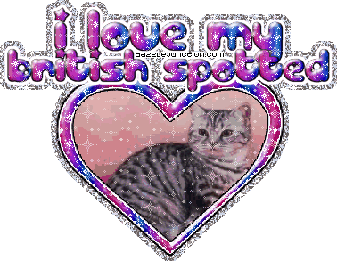 I Love My Britishspotted