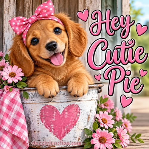 Golden Cutie Pie