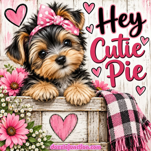 Yorkie Cutie Pie