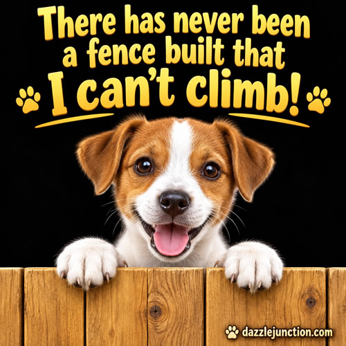 Climb Fence