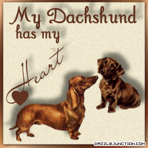 Dachshund Heart