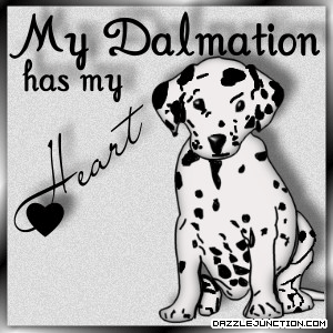 Dalmation Heart