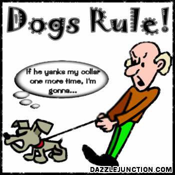 Dogs Rule