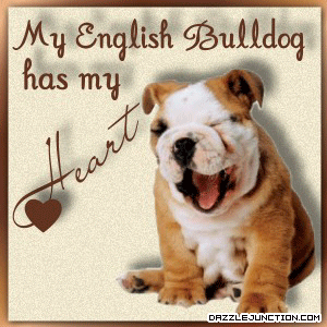 English Bulldog Heart