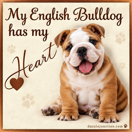 English Bulldog Heart