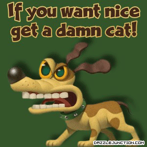Get Cat