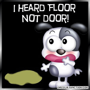 Heard Floor Pet Lovers image