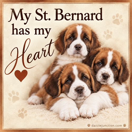 St Bernard Heart