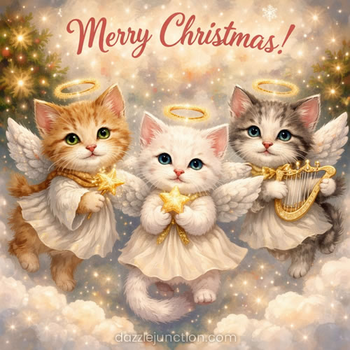Angel Kitties Christmas Pictures image