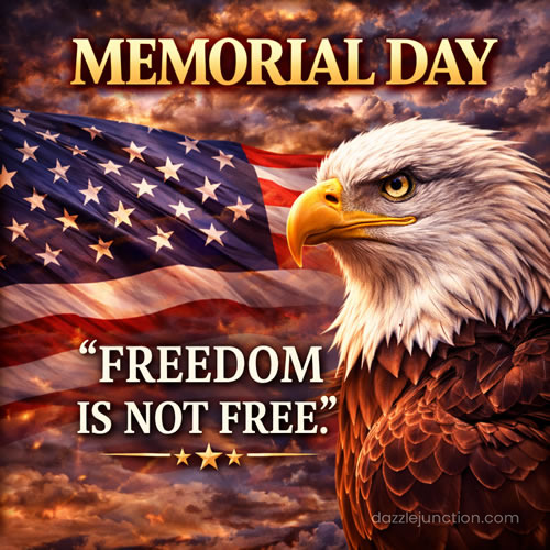 Eagle Freedom Not Free