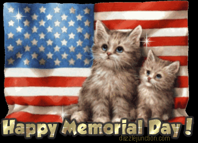 Memorial Day Cats