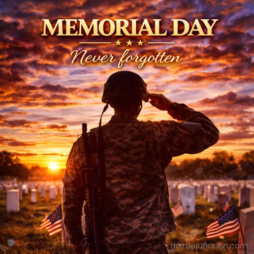Never Forgotten Memorial Day image