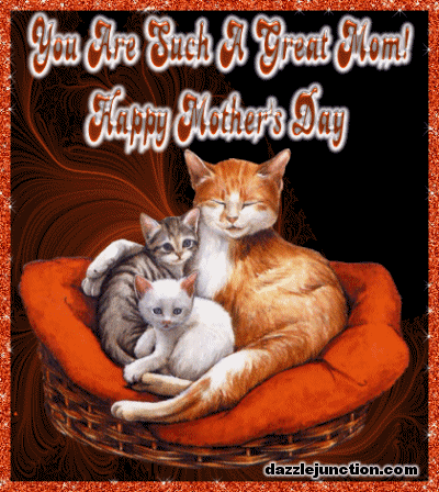 Cat Kittens Mothers Day